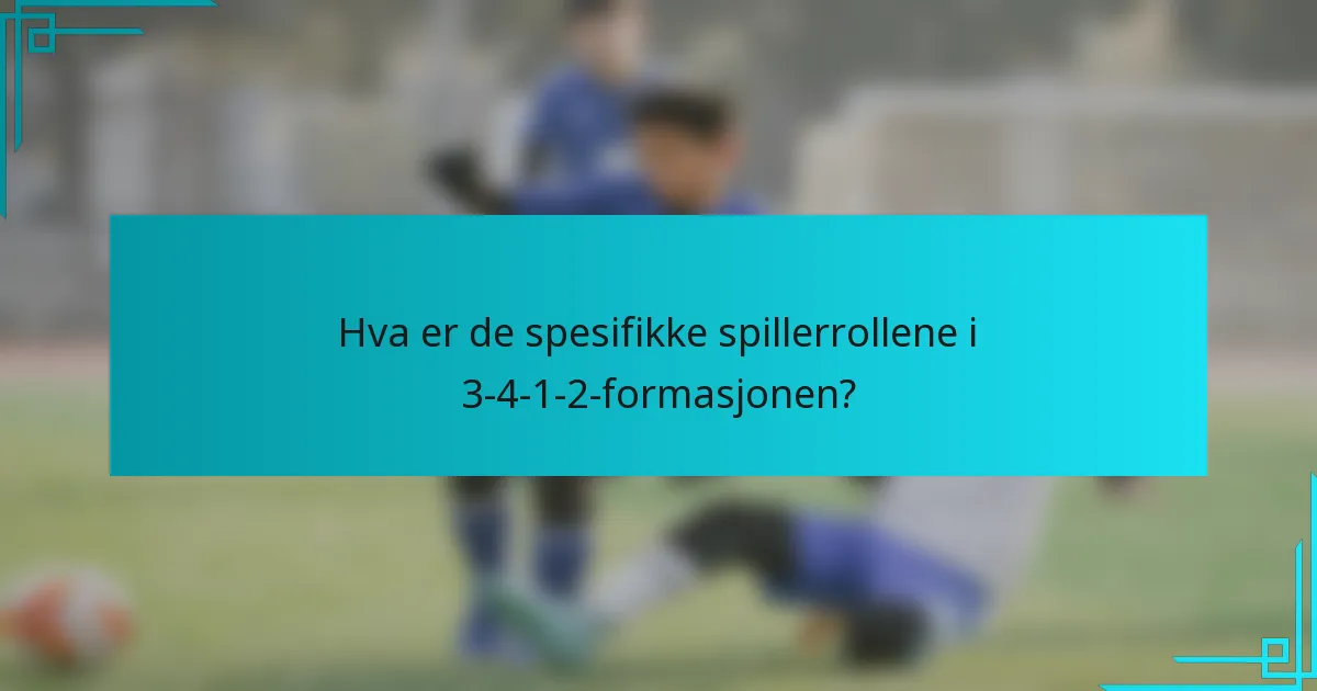 Hva er de spesifikke spillerrollene i 3-4-1-2-formasjonen?