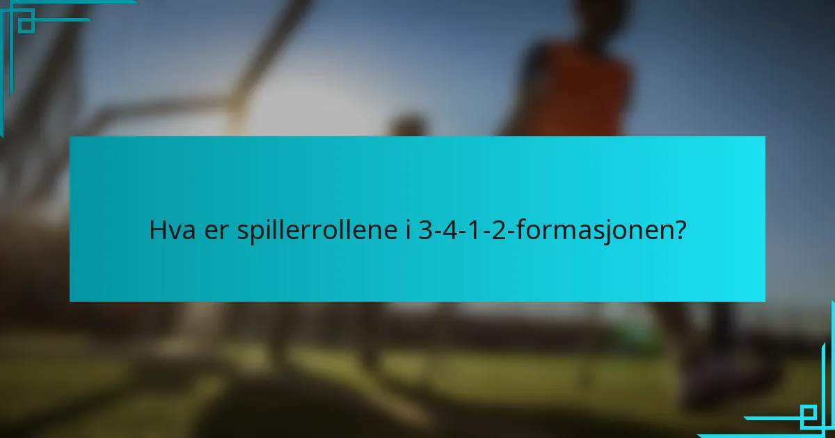 Hva er spillerrollene i 3-4-1-2-formasjonen?