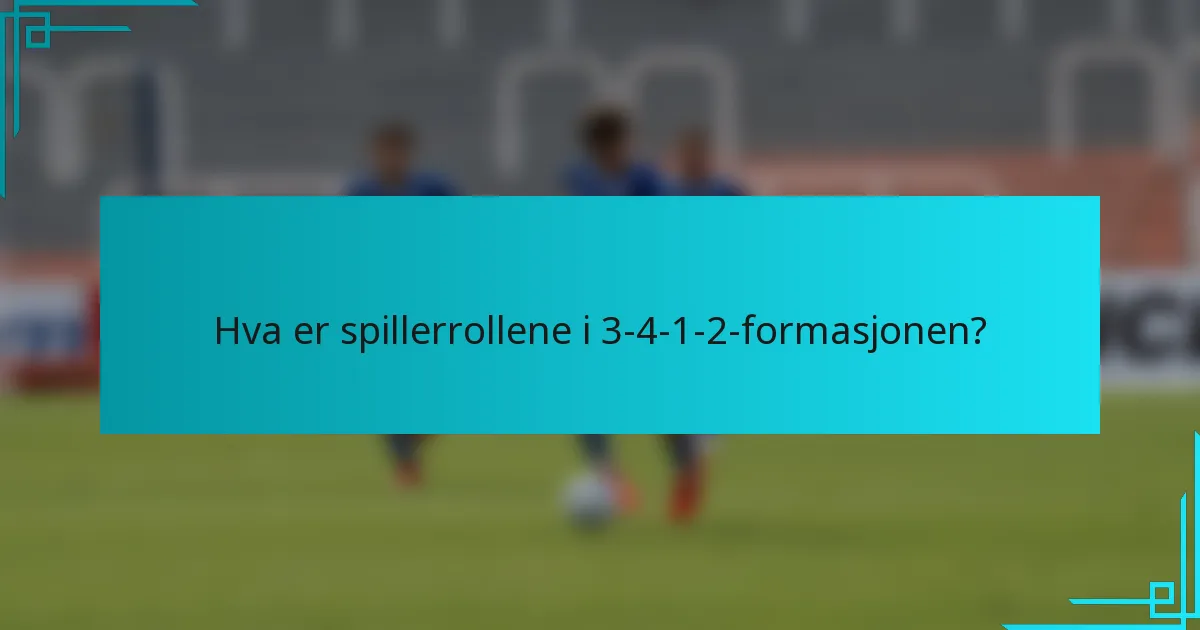 Hva er spillerrollene i 3-4-1-2-formasjonen?