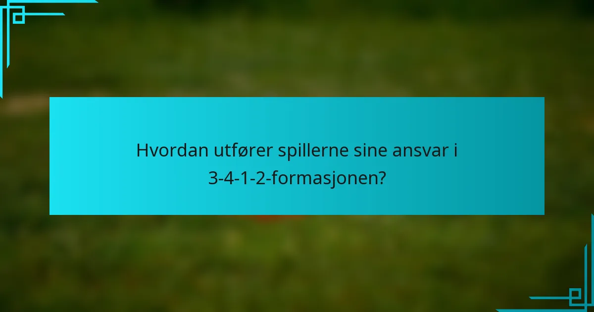 Hvordan utfører spillerne sine ansvar i 3-4-1-2-formasjonen?